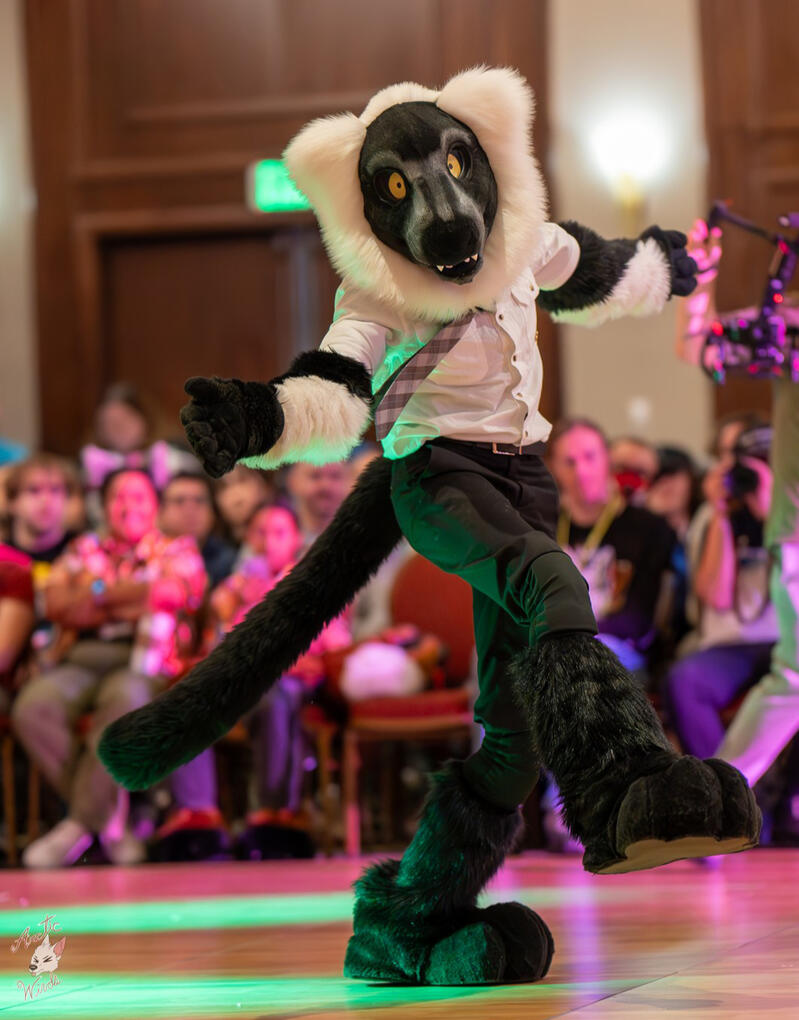 Full Partial