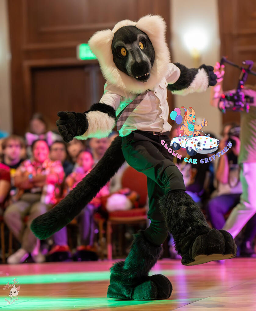 Full Partial